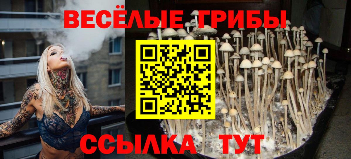 Псилоцибиновые грибы прущие грибы Наро-Фоминск